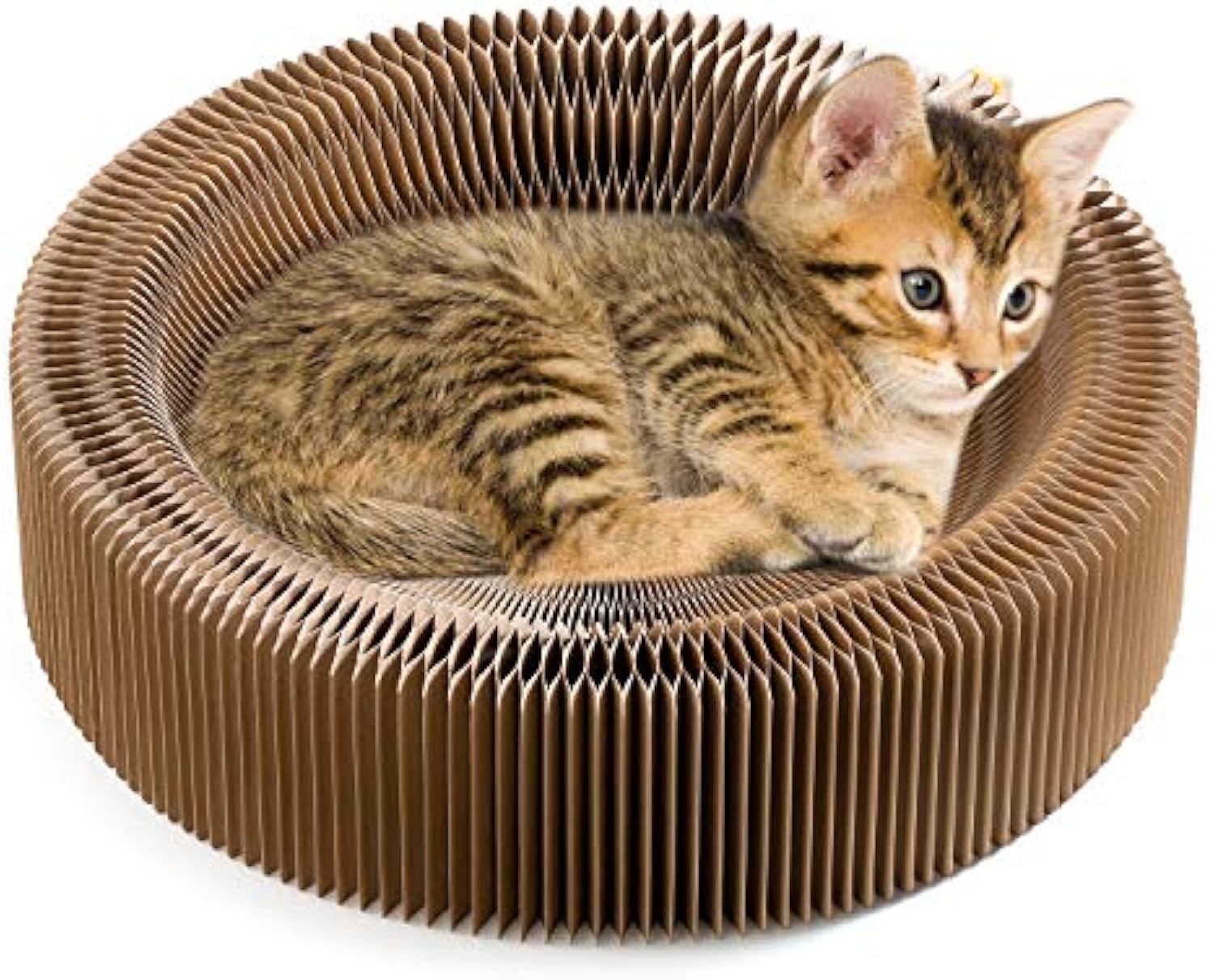 HKM-7675965 Collapsible Cardboard Cat Scratching Lounge Bed for Indoor Cats