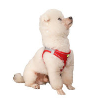 HKM-7677757 Breathable Mesh Dog Harness with Reflective Details - Lightweight and Comfortable for Summer Walks
