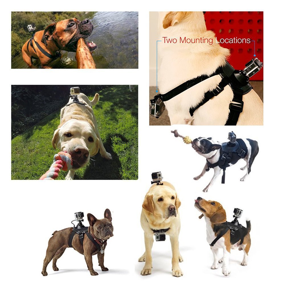 HKM-7678141 Dog Harness with Dual Camera Mounts for Chest and Back - Adjustable for 15-75 lbs Pets