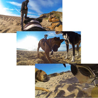 HKM-7678141 Dog Harness with Dual Camera Mounts for Chest and Back - Adjustable for 15-75 lbs Pets