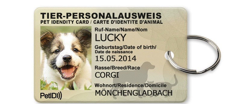 HKM-7680317 Custom Pet ID Card with Photo, Name, Breed, and Date of Birth - 4x2.5 cm