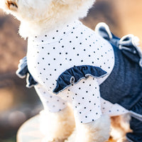 HKM-7684797 Denim Bow Princess Mesh Pettiskirt for Pets - Available in Dots and Stripes Design