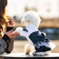 HKM-7684797 Denim Bow Princess Mesh Pettiskirt for Pets - Available in Dots and Stripes Design