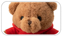 HKM-768723 Custom Plush Anime Doll Mascot with Logo - Soft and Adorable Plush Toy