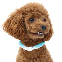 HKM-7697725 Cooling Pet Halter with Bio-Based Phase Change Material for Summer Use