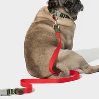 HKM-770131 Comfortable Polyester Dog Collar and Hand Holding Rope Set in Multiple Color Options