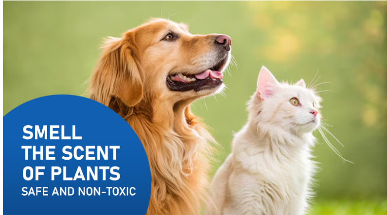 HKM-7709117 Indoor Pet Deodorant Spray for Urine Removal - 100ml Freshener