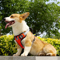 HKM-7710525 Adjustable Dog Chest Strap with Hand-Holding Rope in Multiple Colors