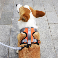 HKM-7710525 Adjustable Dog Chest Strap with Hand-Holding Rope in Multiple Colors