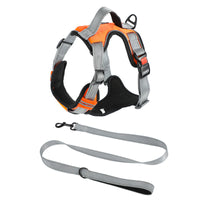 HKM-7710525 Adjustable Dog Chest Strap with Hand-Holding Rope in Multiple Colors