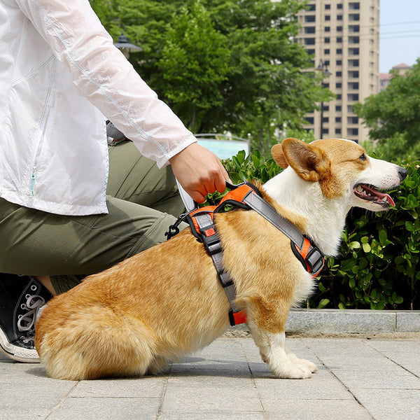 HKM-7710525 Adjustable Dog Chest Strap with Hand-Holding Rope in Multiple Colors