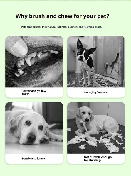 HKM-7716669 Dog Chew Toy for Dental Health - Pet Sausage Chew Brush and Cleaning Buddy