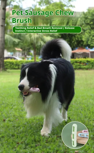 HKM-7716669 Dog Chew Toy for Dental Health - Pet Sausage Chew Brush and Cleaning Buddy