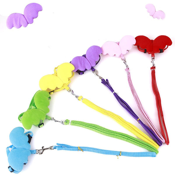 HKM-7716797 Nylon Pet Wing Leash for Safe and Comfortable Outdoor Walking