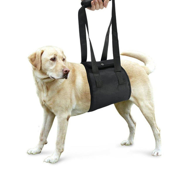 HKM-7718461 Pet Assistance Leash Belt for Aged and Injured Dogs