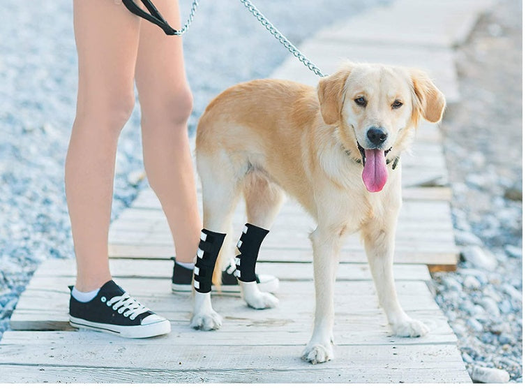 HKM-7726013 Glow-in-the-Dark Dog Knee Brace for Injury Recovery - Black Nylon with Reflective Velcro