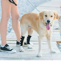 HKM-7726013 Glow-in-the-Dark Dog Knee Brace for Injury Recovery - Black Nylon with Reflective Velcro
