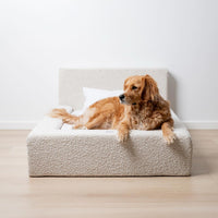 HKM-7726397 Cozy Rectangular Pet Bed with Backrest for Dogs and Cats - Soft Sponge Mat for Large, Medium, and Small Pets