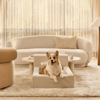 HKM-7726397 Cozy Rectangular Pet Bed with Backrest for Dogs and Cats - Soft Sponge Mat for Large, Medium, and Small Pets