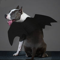 HKM-7732669 Cool Black Felt Dog Bat Wings Costume Accessory with Adjustable Velcro Straps