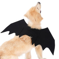 HKM-7732669 Cool Black Felt Dog Bat Wings Costume Accessory with Adjustable Velcro Straps