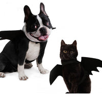 HKM-7732669 Cool Black Felt Dog Bat Wings Costume Accessory with Adjustable Velcro Straps