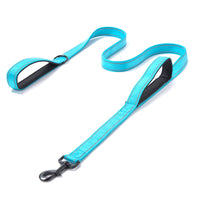 HKM-7738045 Reflective Nylon Dog Leash - Double Thickened, 150cm Length, 2.5cm Width, Multiple Colors Available