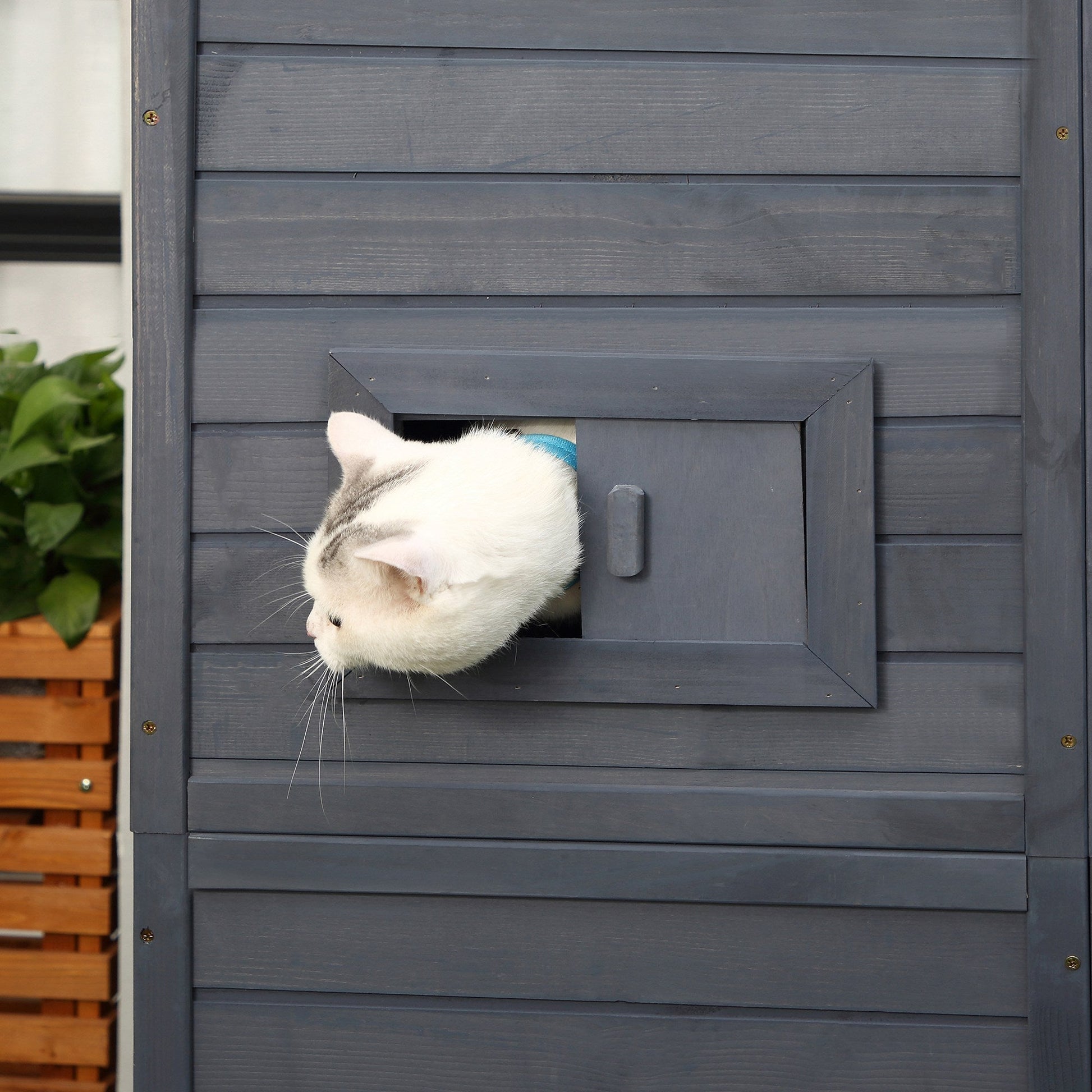 HKM-7738301 Extra Large Outdoor Cat House with Four Stories, Ramps, and Windows for Climbing Cats