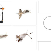 HKM-7739069 Long Elastic Steel Wire Feather Cat Toy with Suction Cup Attachment