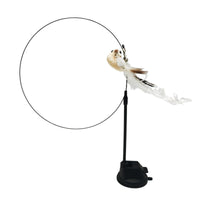 HKM-7739069 Long Elastic Steel Wire Feather Cat Toy with Suction Cup Attachment