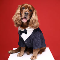 HKM-7742397 Light Gray and Navy Blue Dog Suit Dress - Stylish Gentleman Outfit for Weddings and Special Occasions