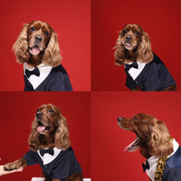 HKM-7742397 Light Gray and Navy Blue Dog Suit Dress - Stylish Gentleman Outfit for Weddings and Special Occasions