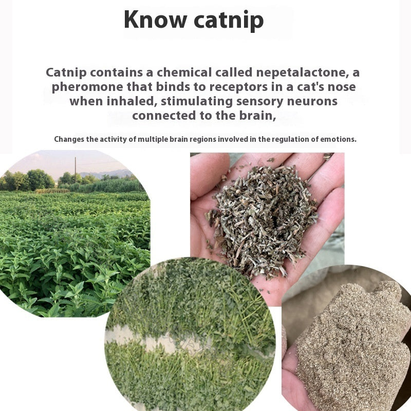HKM-7748413 Catnip Tea Bag - 1G Non-Woven Fabric Mint Tea for Cats