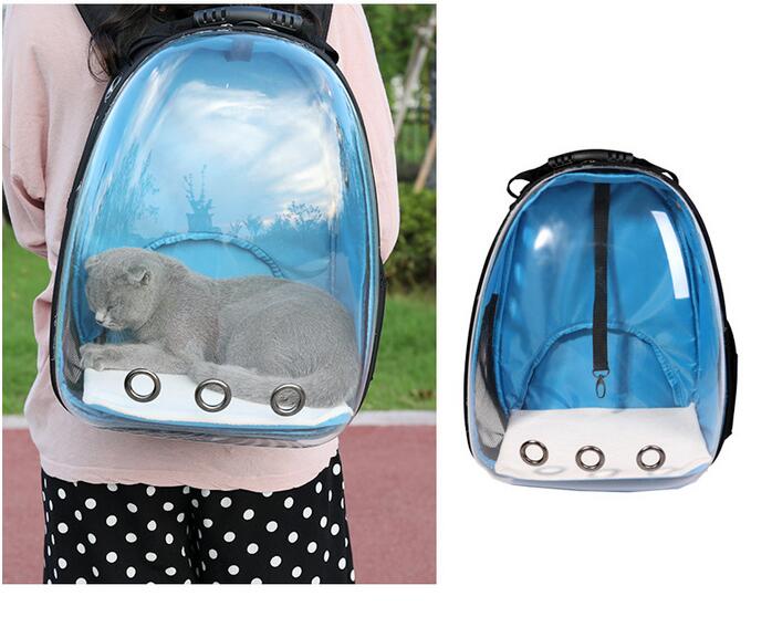 HKM-7751997 Transparent Medium Hardness Pet Backpack in Various Colors