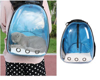 HKM-7751997 Transparent Medium Hardness Pet Backpack in Various Colors