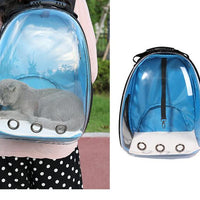 HKM-7751997 Transparent Medium Hardness Pet Backpack in Various Colors