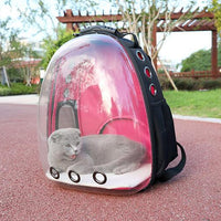 HKM-7751997 Transparent Medium Hardness Pet Backpack in Various Colors