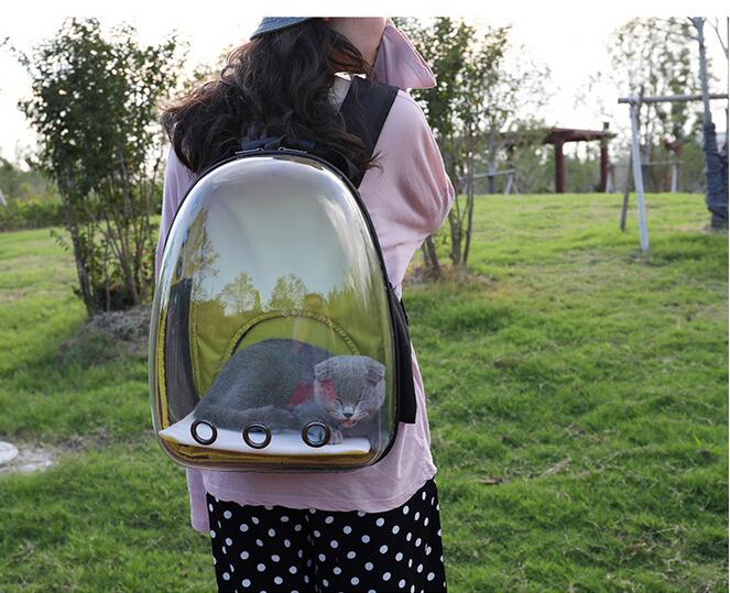 HKM-7751997 Transparent Medium Hardness Pet Backpack in Various Colors