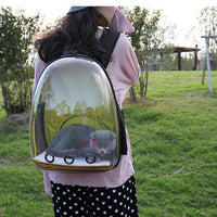 HKM-7751997 Transparent Medium Hardness Pet Backpack in Various Colors