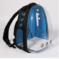 HKM-7751997 Transparent Medium Hardness Pet Backpack in Various Colors