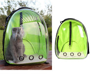 HKM-7751997 Transparent Medium Hardness Pet Backpack in Various Colors