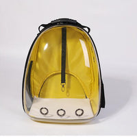 HKM-7751997 Transparent Medium Hardness Pet Backpack in Various Colors