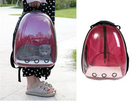 HKM-7751997 Transparent Medium Hardness Pet Backpack in Various Colors