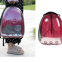 HKM-7751997 Transparent Medium Hardness Pet Backpack in Various Colors