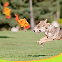HKM-7753021 Durable Dog Ball with Rope - Interactive Chew and Food Dispenser Toy for Large Dogs
