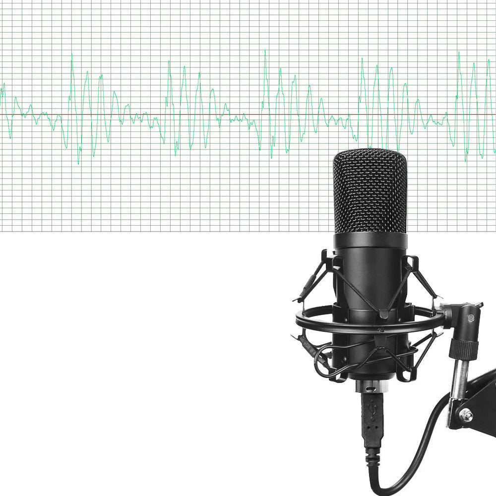 HKM-775379 Condenser Microphone Set BM-700 with Metal Construction for Recording and Live Performances