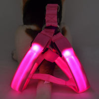 HKM-7754813 LED Illuminated Pet Leashing Vest for Enhanced Night Safety - Multiple Colors Available