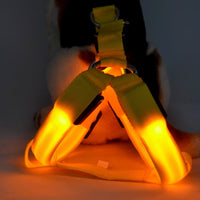 HKM-7754813 LED Illuminated Pet Leashing Vest for Enhanced Night Safety - Multiple Colors Available