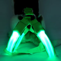 HKM-7754813 LED Illuminated Pet Leashing Vest for Enhanced Night Safety - Multiple Colors Available