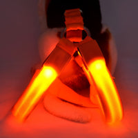 HKM-7754813 LED Illuminated Pet Leashing Vest for Enhanced Night Safety - Multiple Colors Available